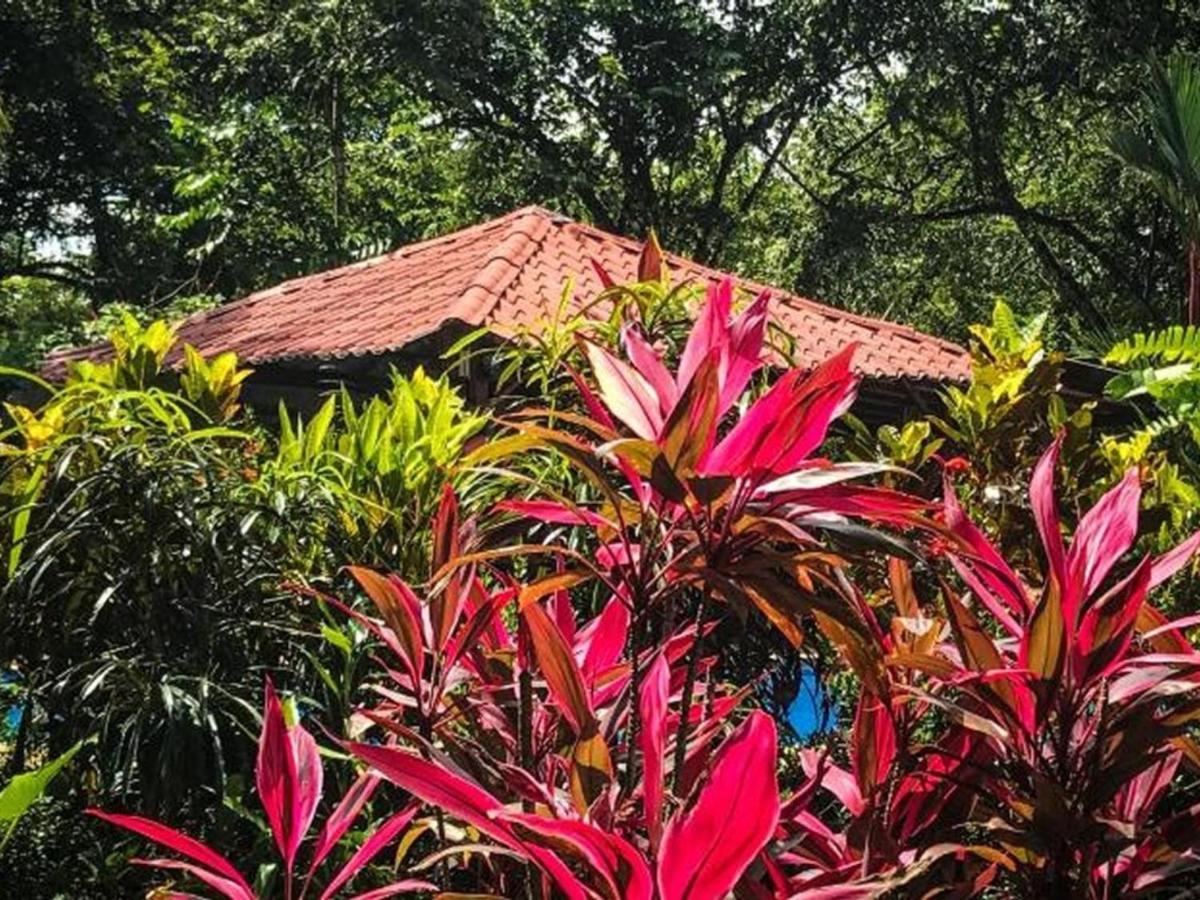 Casa Colores Montezuma Exteriör bild