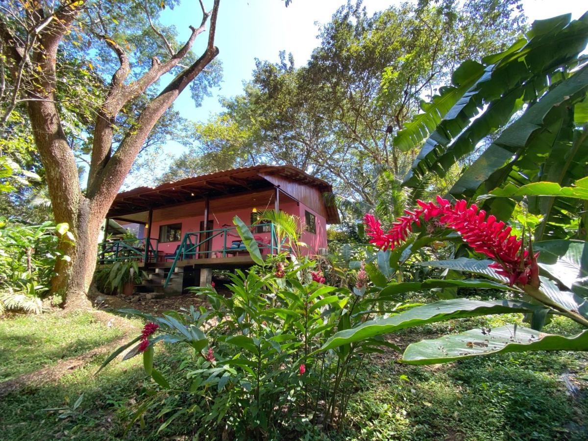 Casa Colores Montezuma Exteriör bild
