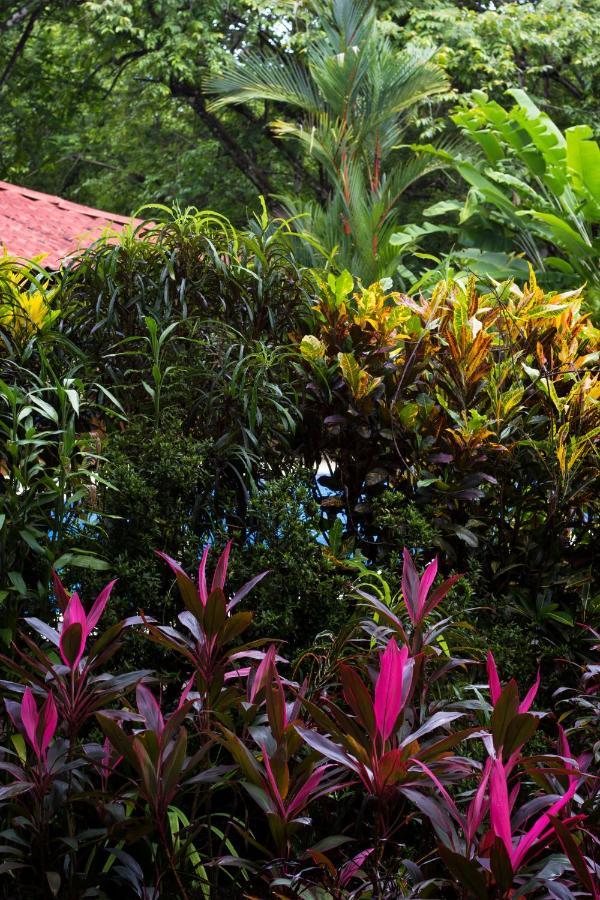 Casa Colores Montezuma Exteriör bild