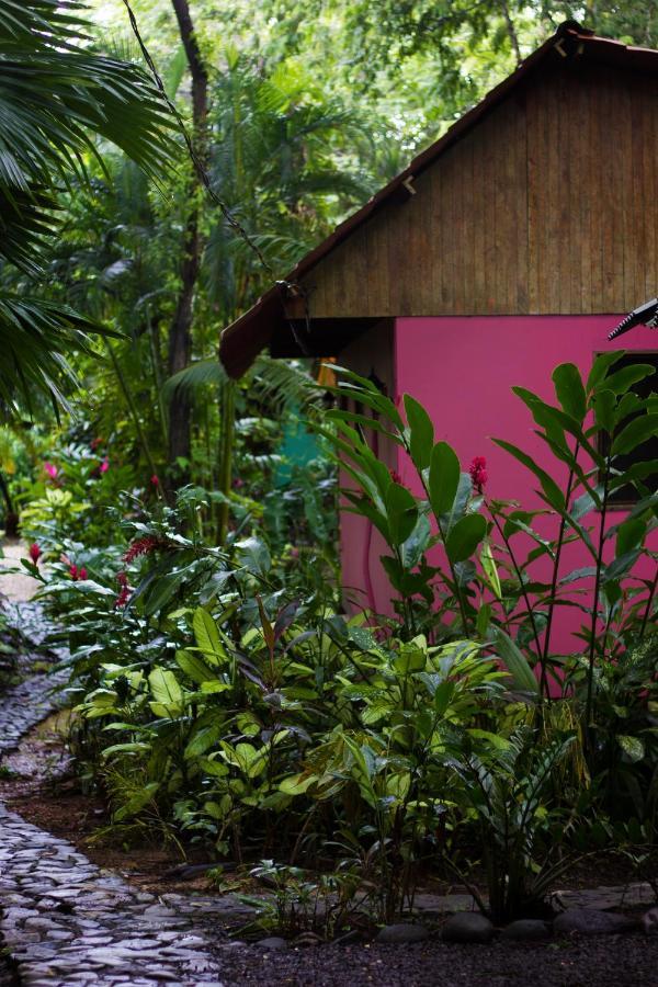 Casa Colores Montezuma Exteriör bild